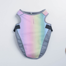 Load image into Gallery viewer, Cooling Vest - San Frenchie