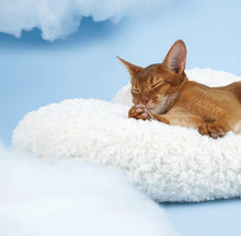 Load image into Gallery viewer, Cloud Shaped Pet Sleeping Mat - San Frenchie