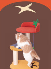 Load image into Gallery viewer, Vegetable Design Cat Climbing Frame