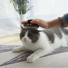 Load image into Gallery viewer, Pet Massage Comb