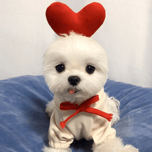 Load image into Gallery viewer, Cute Winter Pet Hoodie - San Frenchie