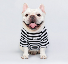 Load image into Gallery viewer, Stereo Fries Pet T-shirt