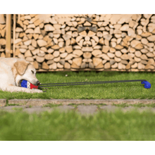 Load image into Gallery viewer, Interactive Dog Chew Toys - San Frenchie