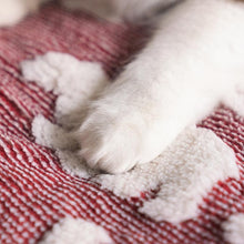 Load image into Gallery viewer, Bear Ear Pet Sleeping Bag - San Frenchie