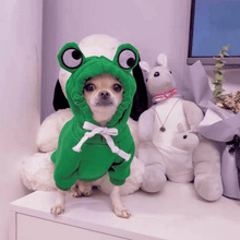 Load image into Gallery viewer, Cute Winter Pet Hoodie - San Frenchie