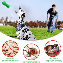 Load image into Gallery viewer, Crocodile Toothbrush and Chew Toy - San Frenchie