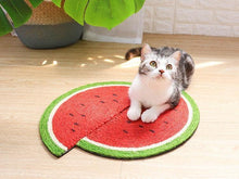 Load image into Gallery viewer, Fruit Shaped Cat Stracher Toy - San Frenchie