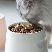 Load image into Gallery viewer, Volcano Shape Pet Bowl