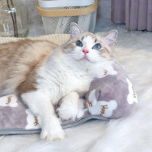 Load image into Gallery viewer, Cushion With Pillow Pet Mat - San Frenchie