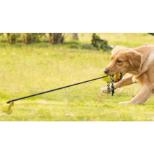 Load image into Gallery viewer, Interactive Dog Chew Toys - San Frenchie