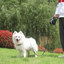 Load image into Gallery viewer, All In One Dog Leash - San Frenchie
