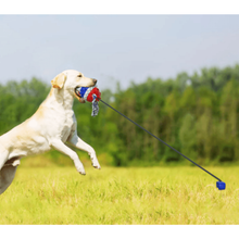 Load image into Gallery viewer, Interactive Dog Chew Toys - San Frenchie