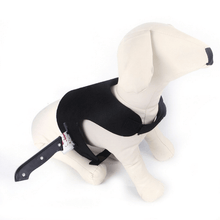 Load image into Gallery viewer, Stabbed Costume- Pet Halloween Costume - San Frenchie