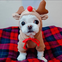 Load image into Gallery viewer, Cute Winter Pet Hoodie - San Frenchie