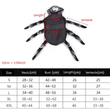 Load image into Gallery viewer, Webby Spider - Pet Halloween Costume - San Frenchie