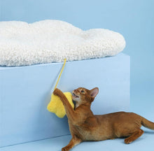 Load image into Gallery viewer, Cloud Shaped Pet Sleeping Mat - San Frenchie