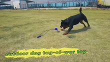 Load and play video in Gallery viewer, Interactive Dog Chew Toys