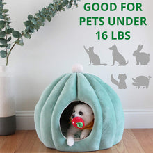 Load image into Gallery viewer, Cactus Pet Cave and Bed - San Frenchie
