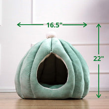 Load image into Gallery viewer, Cactus Pet Cave and Bed - San Frenchie