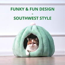 Load image into Gallery viewer, Cactus Pet Cave and Bed - San Frenchie