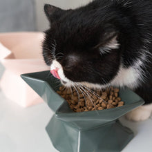 Load image into Gallery viewer, Cat Head Design Pet Bowl