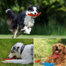 Load image into Gallery viewer, Squeaky Chewy Animal Toys for Dogs - San Frenchie