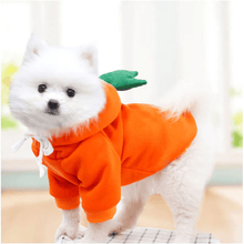 Load image into Gallery viewer, Cute Winter Pet Hoodie - San Frenchie
