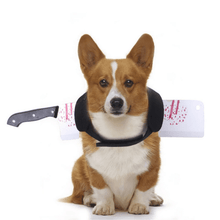 Load image into Gallery viewer, Stabbed Costume- Pet Halloween Costume - San Frenchie