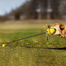 Load image into Gallery viewer, Interactive Dog Chew Toys - San Frenchie