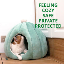 Load image into Gallery viewer, Cactus Pet Cave and Bed - San Frenchie