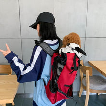 Load image into Gallery viewer, Pet Carrier Backpack - San Frenchie