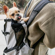 Load image into Gallery viewer, Pet Carrier Backpack - San Frenchie