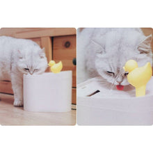 Load image into Gallery viewer, Ducky Pet Drinking Fountain w/ 7 Filters - San Frenchie