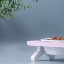 Load image into Gallery viewer, Small Table Pet Bowl Set