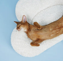 Load image into Gallery viewer, Cloud Shaped Pet Sleeping Mat - San Frenchie