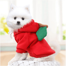 Load image into Gallery viewer, Cute Winter Pet Hoodie - San Frenchie