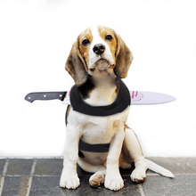 Load image into Gallery viewer, Stabbed Costume- Pet Halloween Costume - San Frenchie