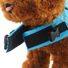 Load image into Gallery viewer, Shark Dog Safety Life Jacket - San Frenchie