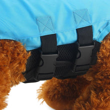 Load image into Gallery viewer, Shark Dog Safety Life Jacket - San Frenchie
