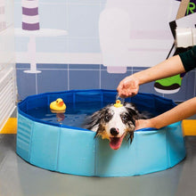 Load image into Gallery viewer, Portable Paw Pool - San Frenchie
