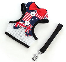 Load image into Gallery viewer, Bow Tie Pet Harness and Leash Set
