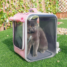 Load image into Gallery viewer, Breathable Pet Carrier Backpack - San Frenchie