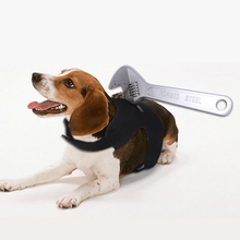 Load image into Gallery viewer, Stabbed Costume- Pet Halloween Costume - San Frenchie