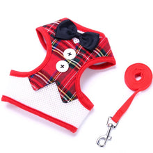 Load image into Gallery viewer, Bow Tie Pet Harness and Leash Set