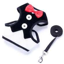 Load image into Gallery viewer, Bow Tie Pet Harness and Leash Set