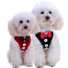 Load image into Gallery viewer, Bow Tie Pet Harness and Leash Set