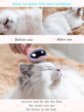 Load image into Gallery viewer, Cats Comb Brush Grooming Tool - San Frenchie