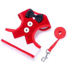 Load image into Gallery viewer, Bow Tie Pet Harness and Leash Set