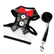 Load image into Gallery viewer, Bow Tie Pet Harness and Leash Set