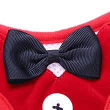 Load image into Gallery viewer, Bow Tie Pet Harness and Leash Set